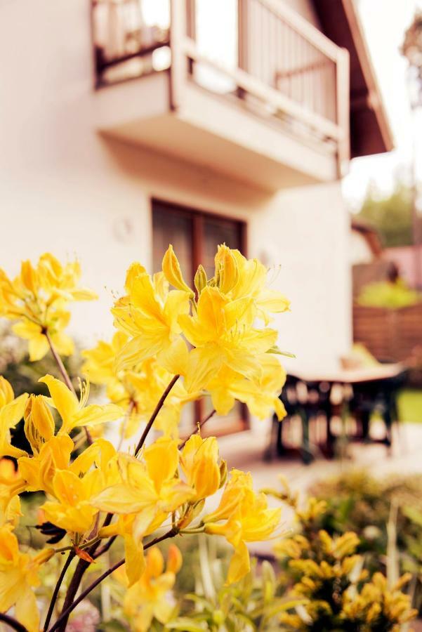 Urlop Przy Wydmach Apartamento Międzywodzie Exterior foto